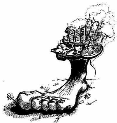 SEMANA DEL 4 AL 8 DE MAYO