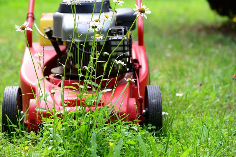 Gardening