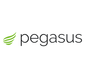 Pegasus