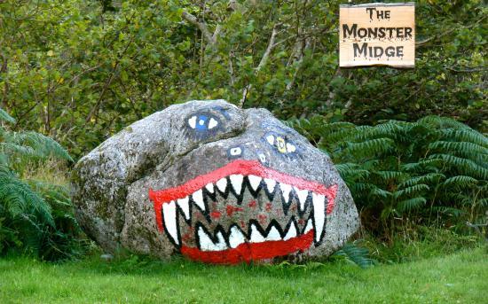 The monster midge and Ardtoe beach.