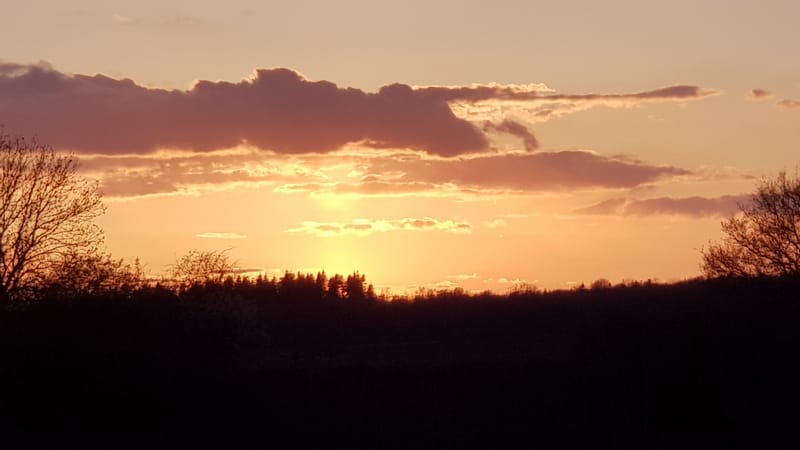 First overnight since lockdown