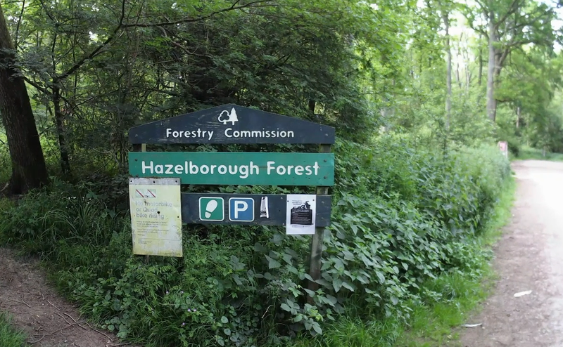 Hazelborough forest