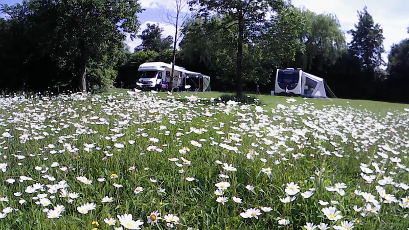 Our seasonal pitch at the Camping & Caravan club site in Hertford
