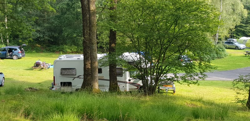 Setting up camp McWilly