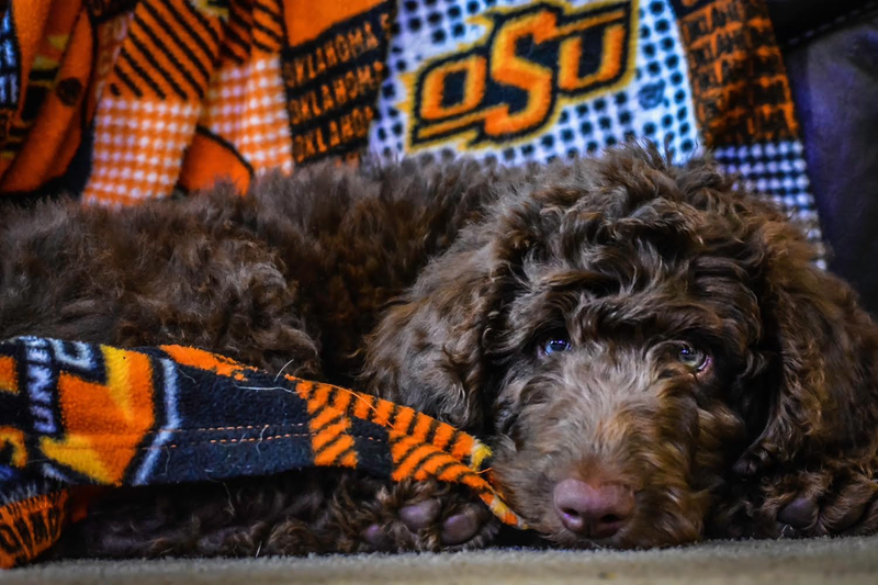 Application/Deposit Process