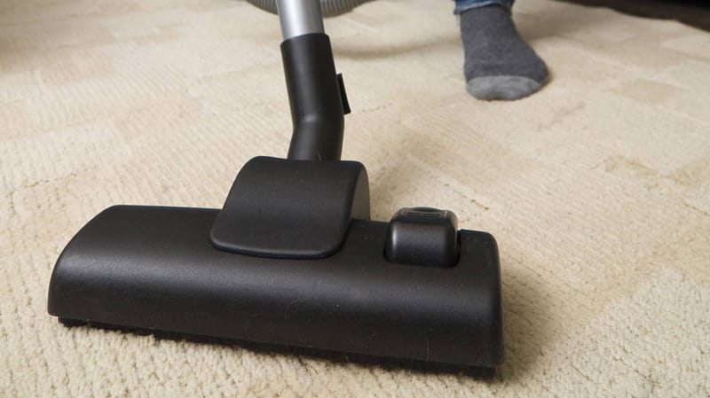 Carpet Cleaning Services Newton MA