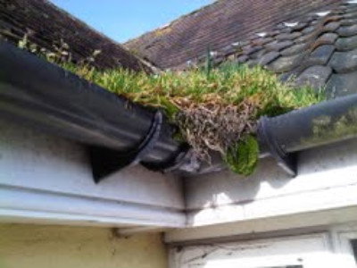 Gutter Cleaning Services Newton MA
