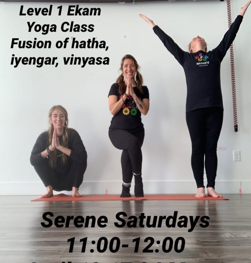 Level 1 Ekam Yoga Classes 11:00-12:00pm