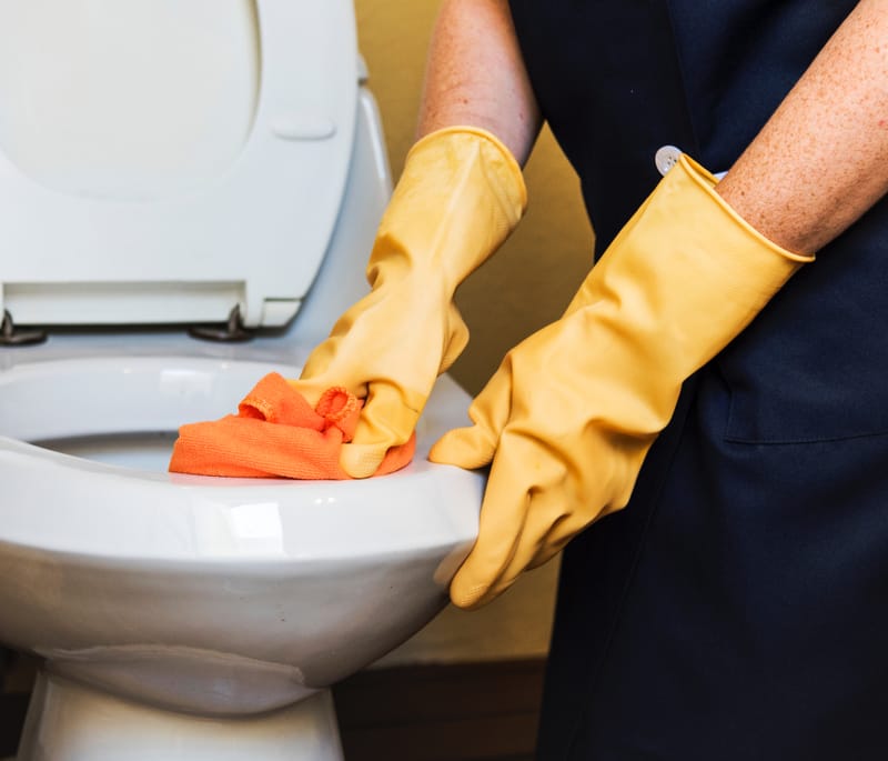 In Home Cleaning