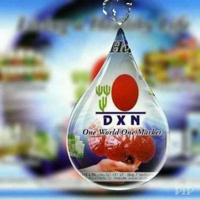 ✌️ كيفية التسجيل في شركة DXN والعمل معها ✌️   image