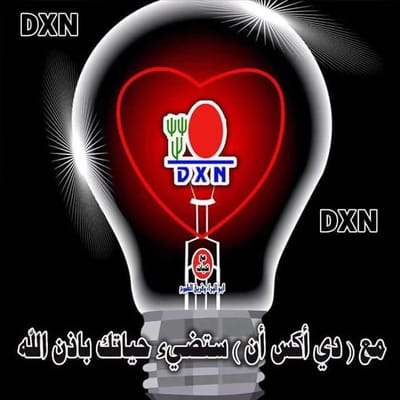 شركة الأعمال والتجارة الحرة