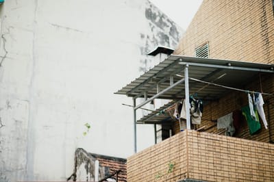 moldremovalguide image