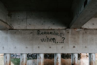 moldremovalblog image