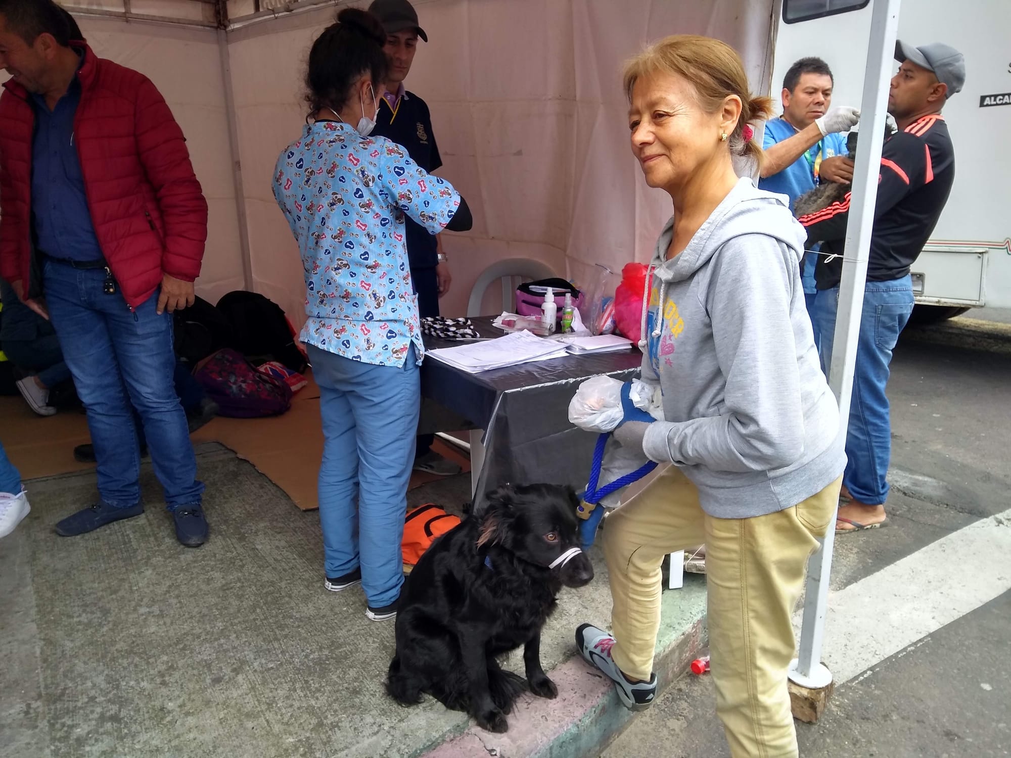 Cuidando a las mascotas de la localidad