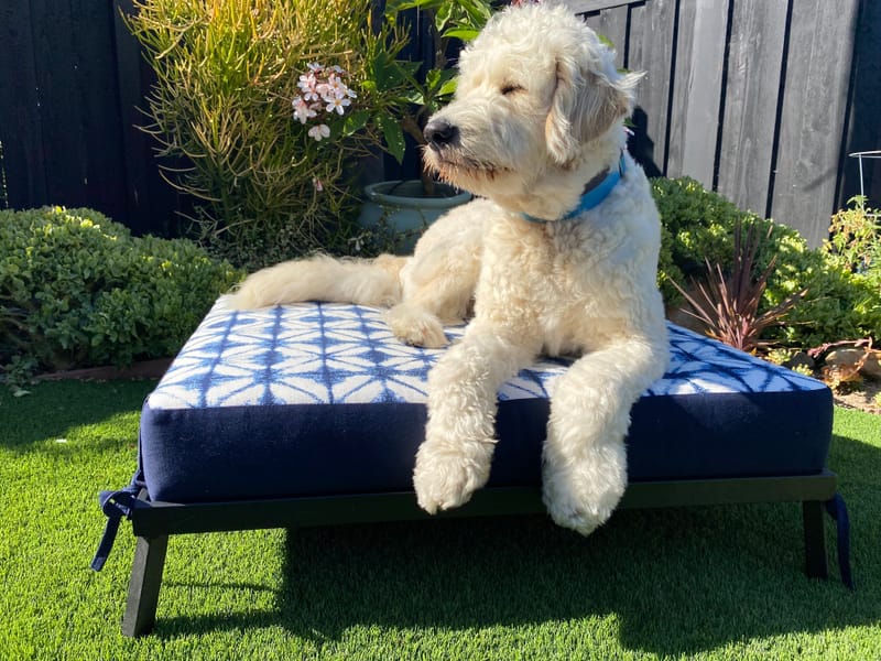 Indoor/Outdoor Sunbrella Dog Bed