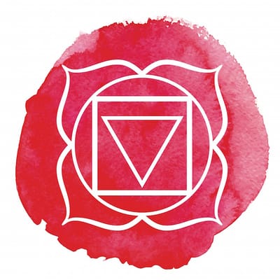 شاكرا القاعدة - Root Chakra