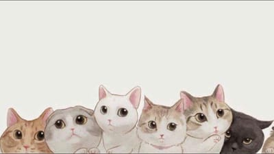 Mundo Gatuno