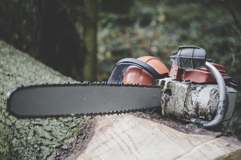 Chainsaw maintenance, repair and sharpening