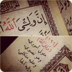 علامات الولي