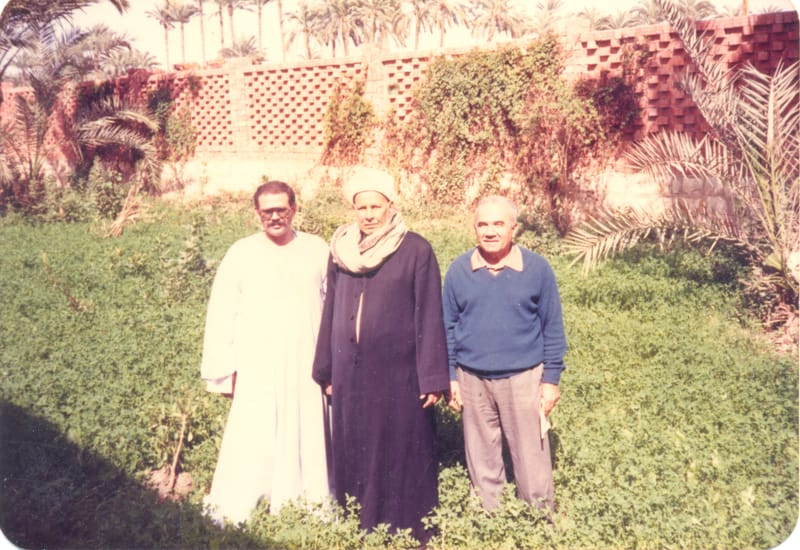 في روضة سيدي حامد البشير