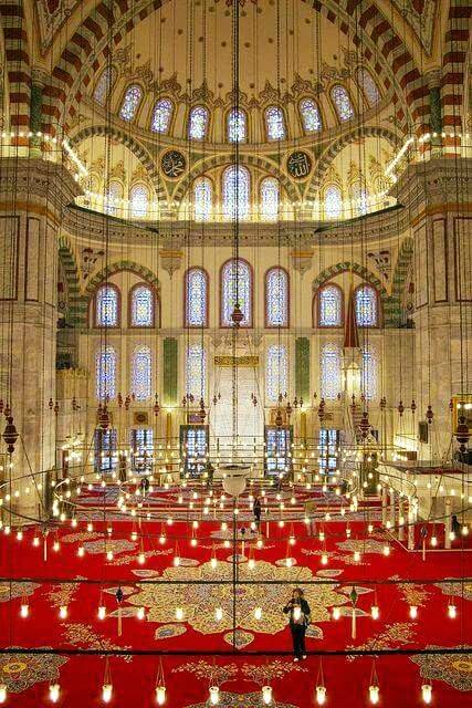 دس ياحبيبي ولا تخف إنه خلق من أجلك .