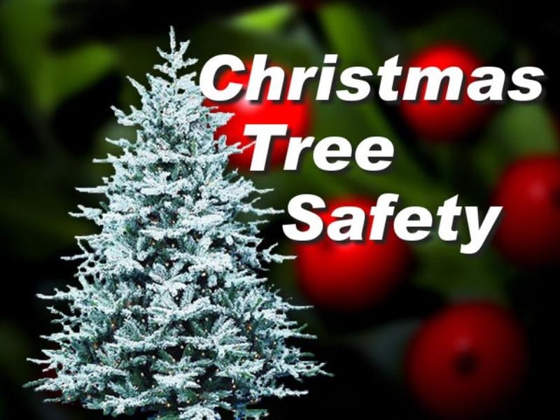 Nearly half of Christmas tree fires involve lighting