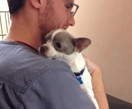 MISSISSIPPI SPAY AND NEUTER RECEIVES GRANT TO ASSIST LOW-INCOME DOG GUARDIANS