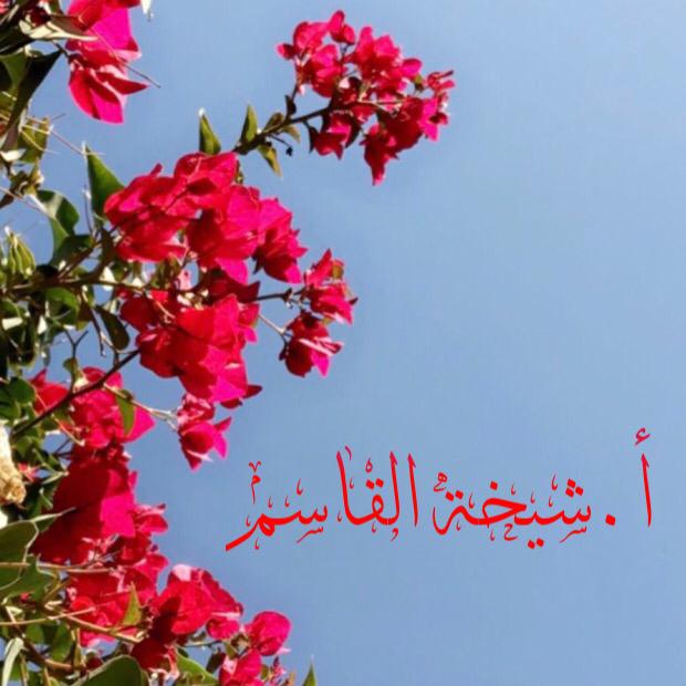 أ.شيخة القاسم