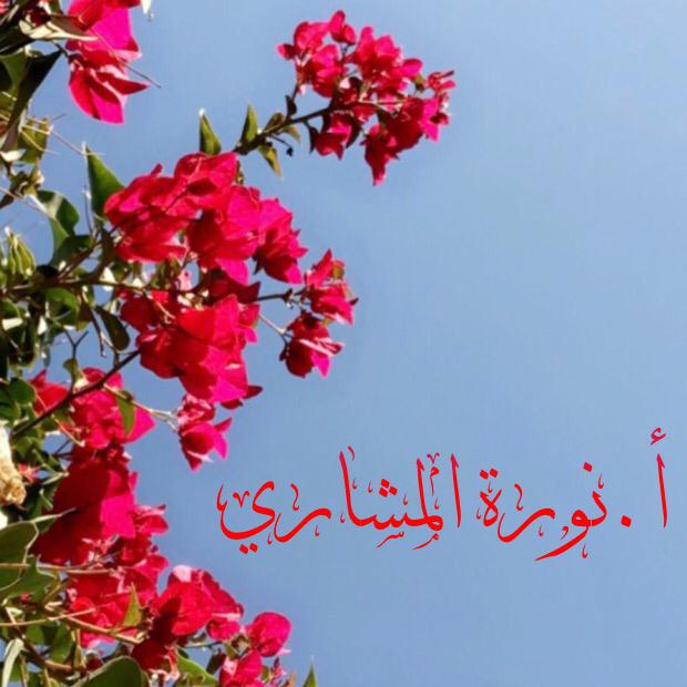 أ.نورة المشاري