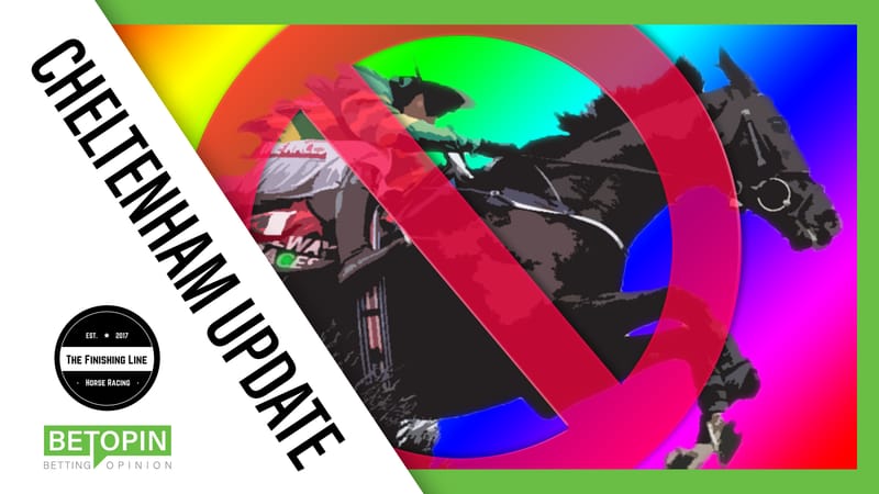 🐴 Cheltenham Festival Update | 2 Weeks To Go!
