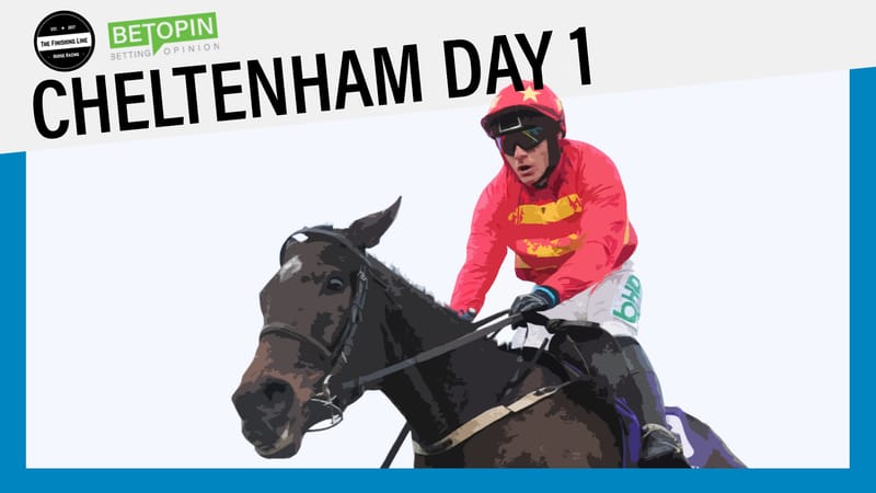 Cheltenham Festival Review 2019