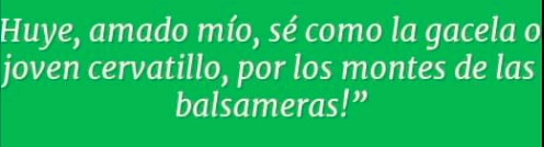 Huye amado mío – Cantar de los Cantares 8,10-14