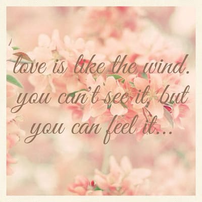 MY QUOTES
