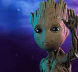 About Groot Club image