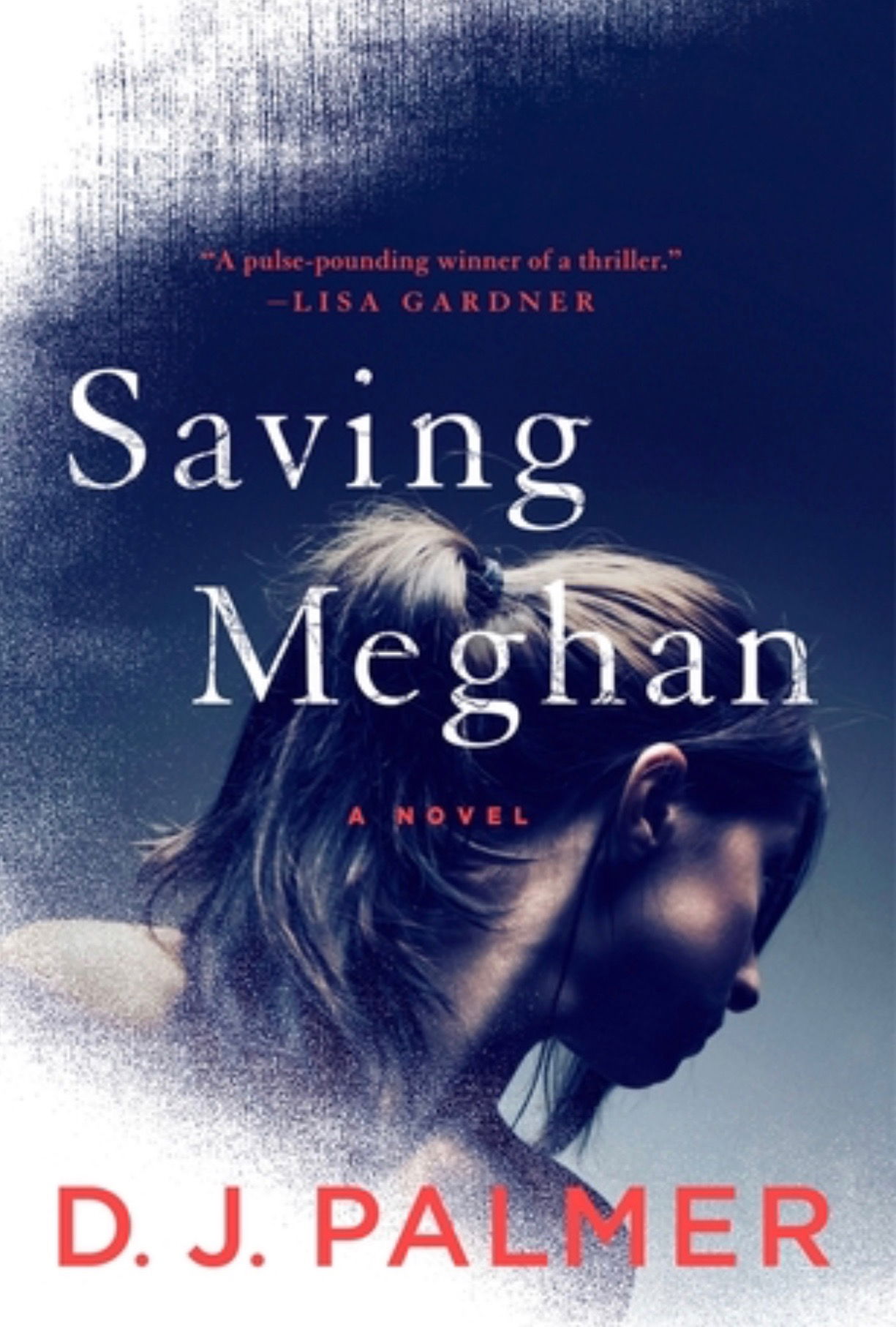 Review: Saving Meghan by D.J. Palmer