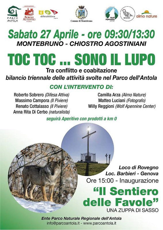 TOC TOC....SONO IL LUPO