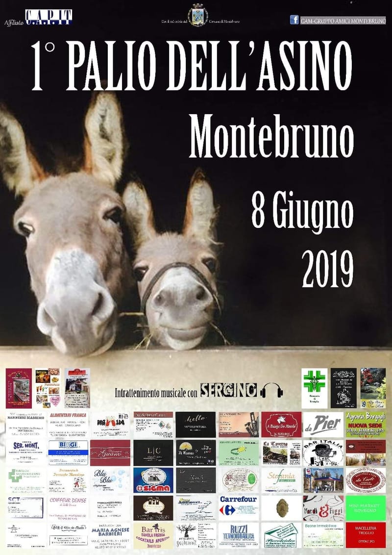 1° Palio dell'Asino
