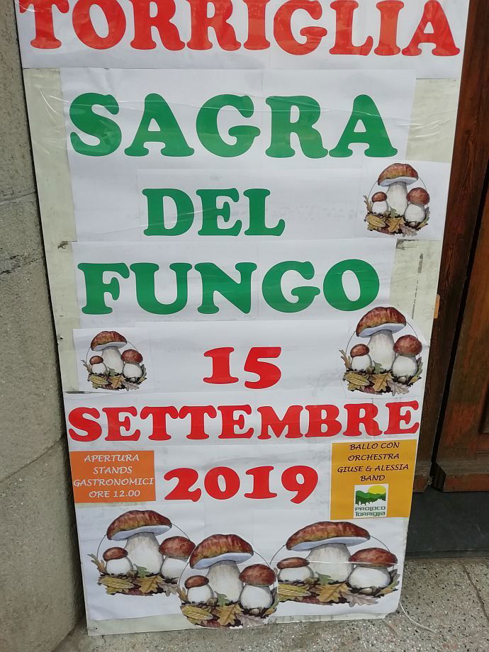 Sagra del Fungo