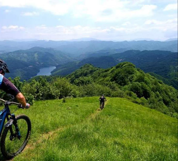 E-bike tour: pedalate sostenibili nel parco!