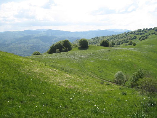 Anello di Fontanarossa