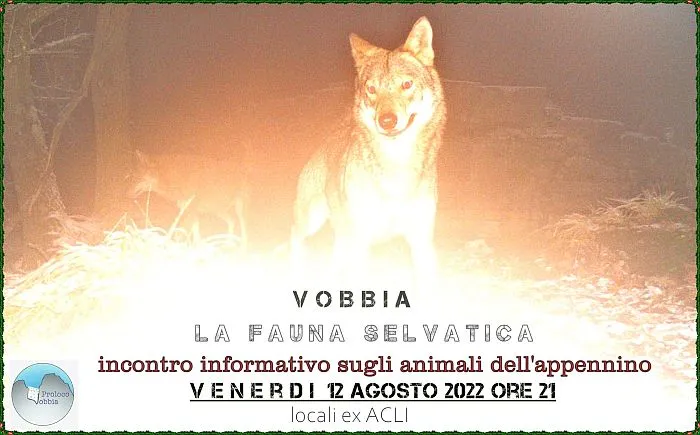 Incontro formativo: La fauna selvatica