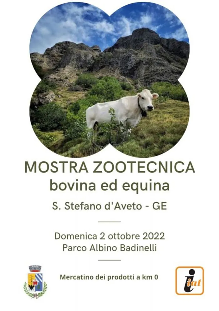 Mostra zootecnica bovina ed equina