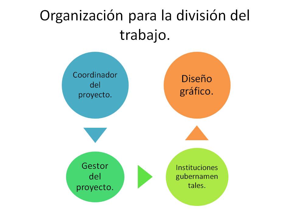 Organización para la división del trabao