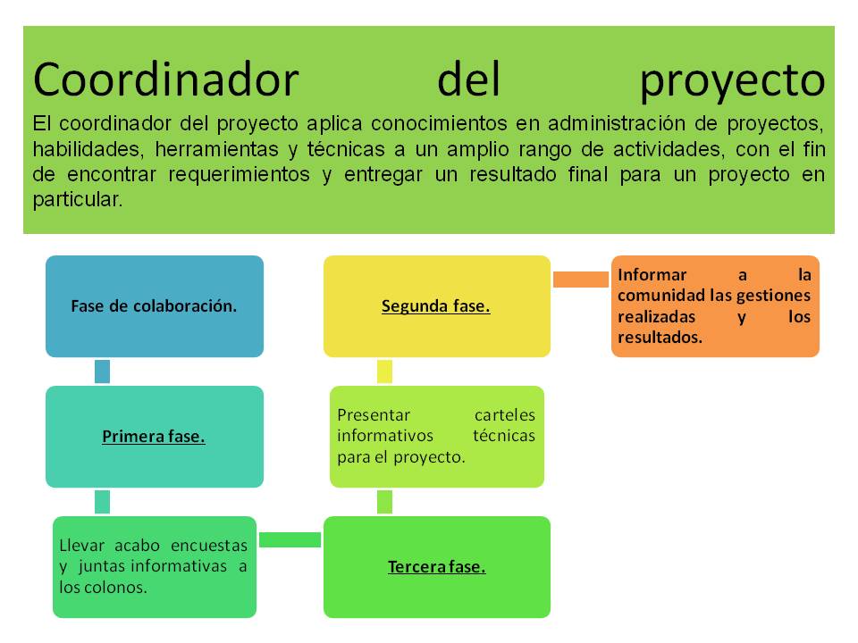 Coordinador del proyecto