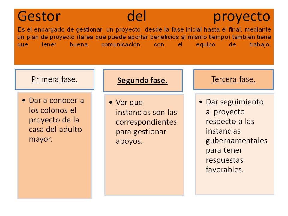 Gestor del proyecto