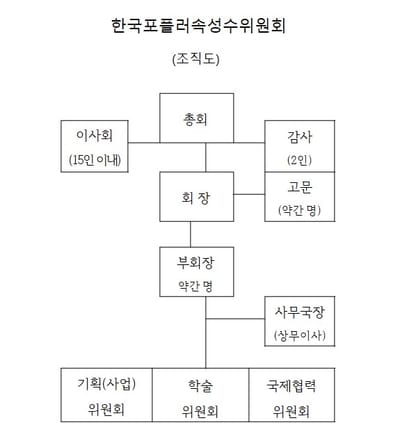 조직도 image