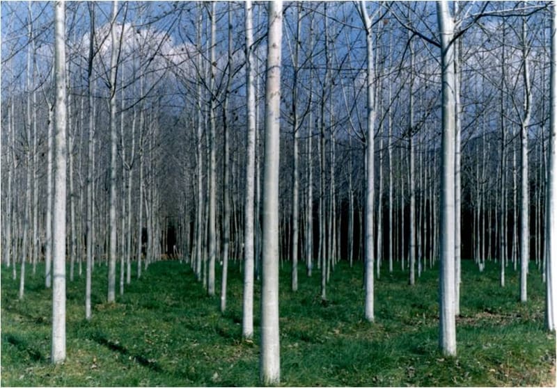 www.kcfgt.org
