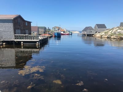 FREE TOUR APRIL 8, 2023 image