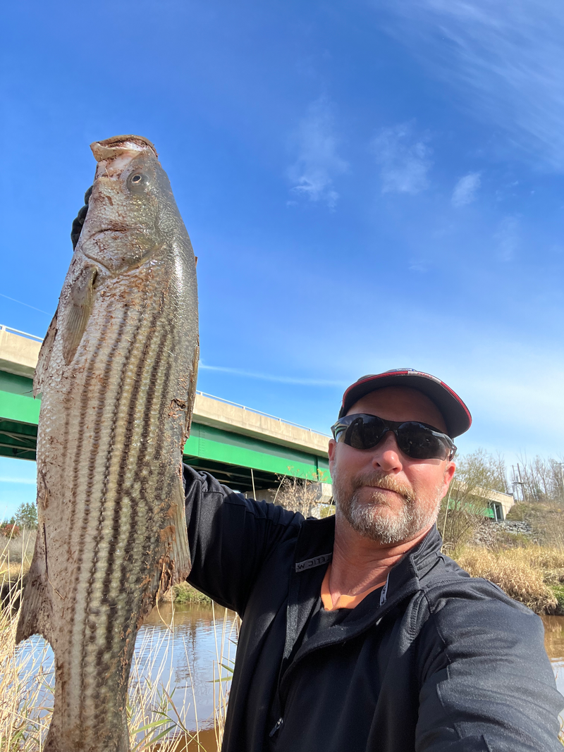 Catch and released .. 27" Down East Tours