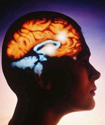 Aspectos de la competencia intelectual.                                    Raymond S. Nickerson, David N. Perkins & Edward E.Smith